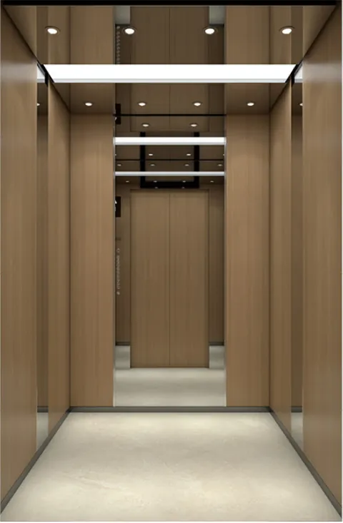 SIVA passenger lift cabin SV-K116
